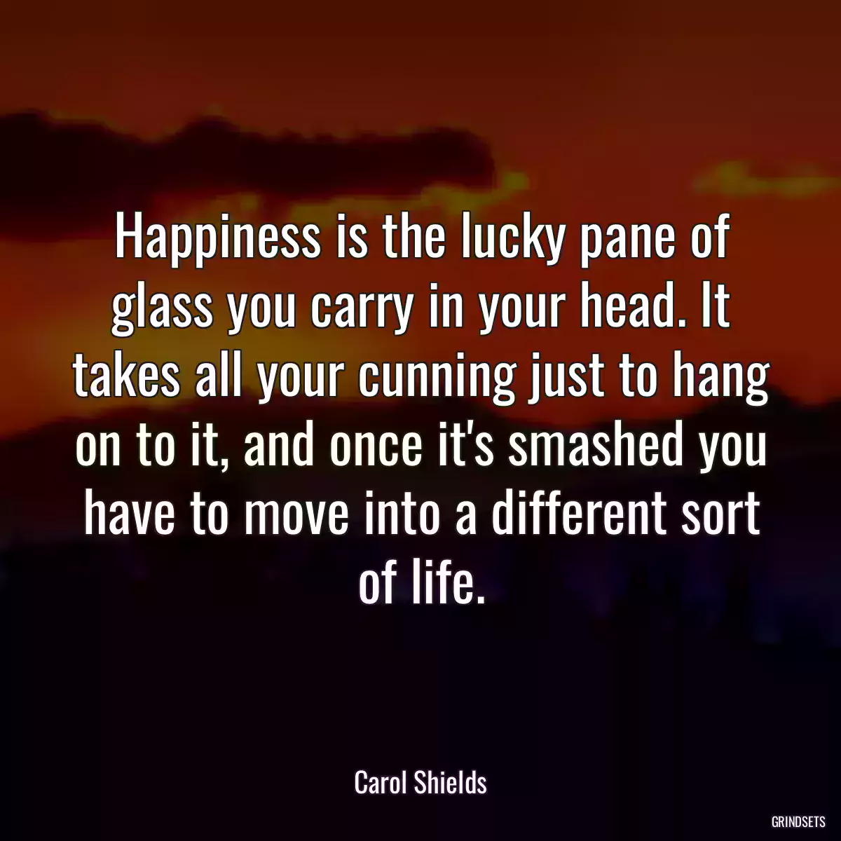 Happiness is the lucky pane of glass you carry in your head. It takes all your cunning just to hang on to it, and once it\'s smashed you have to move into a different sort of life.