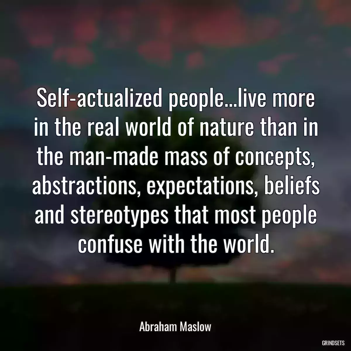 Self-actualized people...live more in the real world of nature than in the man-made mass of concepts, abstractions, expectations, beliefs and stereotypes that most people confuse with the world.