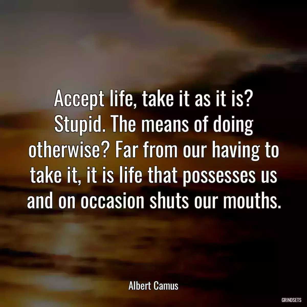 Accept life, take it as it is? Stupid. The means of doing otherwise? Far from our having to take it, it is life that possesses us and on occasion shuts our mouths.