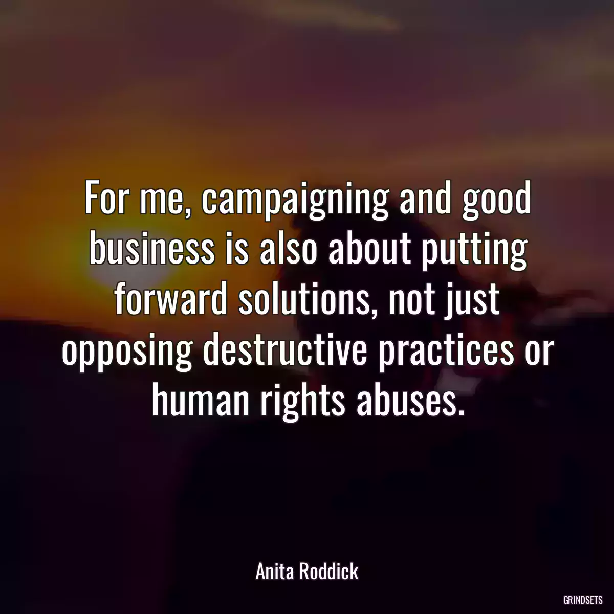 For me, campaigning and good business is also about putting forward solutions, not just opposing destructive practices or human rights abuses.