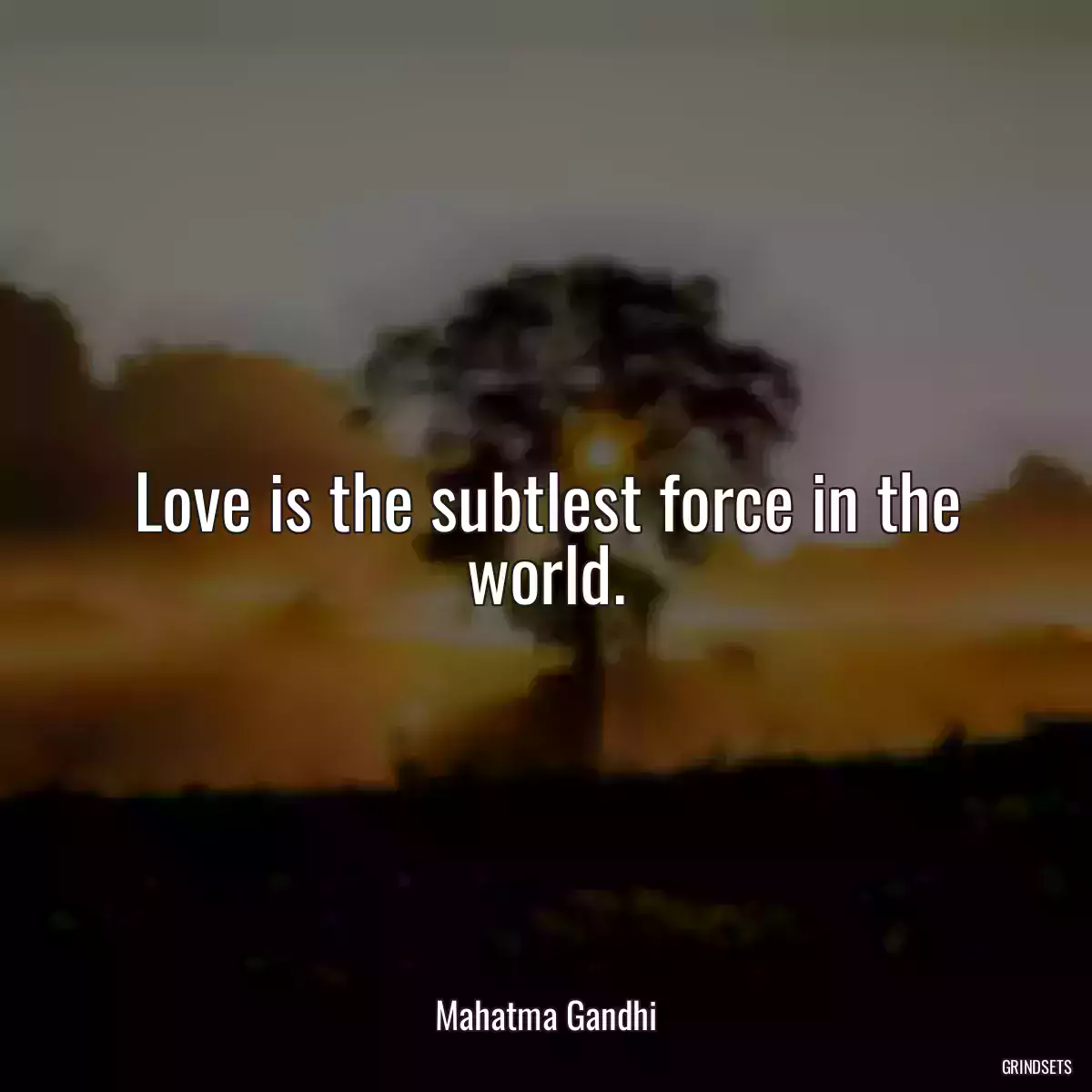 Love is the subtlest force in the world.