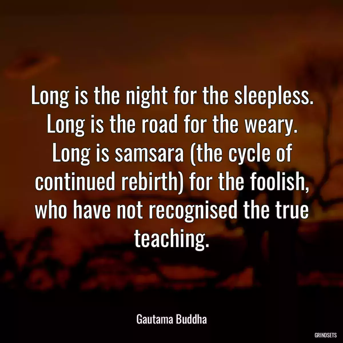 Long is the night for the sleepless. Long is the road for the weary. Long is samsara (the cycle of continued rebirth) for the foolish, who have not recognised the true teaching.