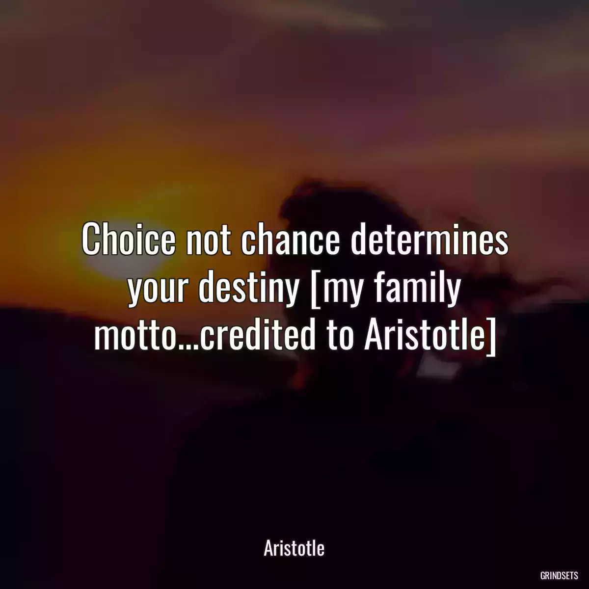 Choice not chance determines your destiny [my family motto...credited to Aristotle]