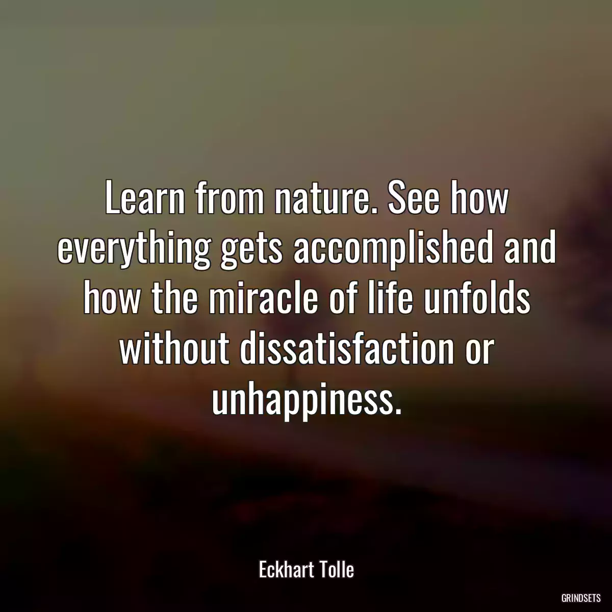 Learn from nature. See how everything gets accomplished and how the miracle of life unfolds without dissatisfaction or unhappiness.