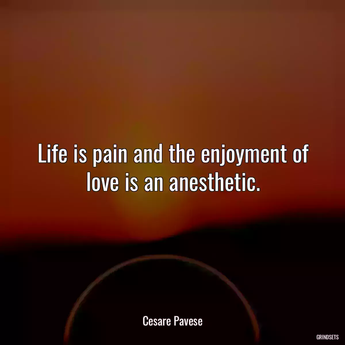 Life is pain and the enjoyment of love is an anesthetic.