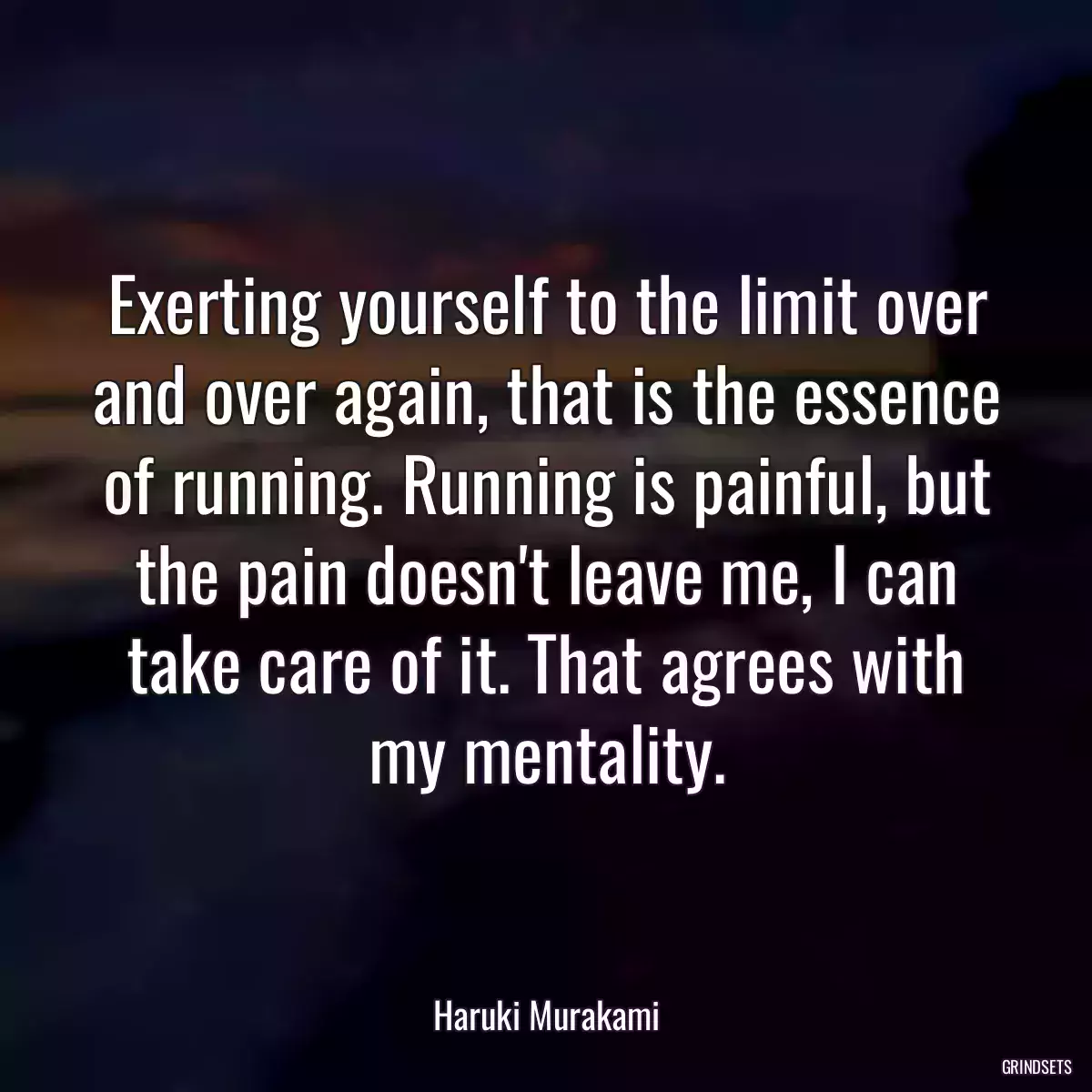 Exerting yourself to the limit over and over again, that is the essence of running. Running is painful, but the pain doesn\'t leave me, I can take care of it. That agrees with my mentality.