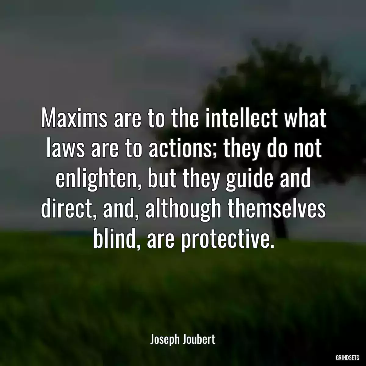 Maxims are to the intellect what laws are to actions; they do not enlighten, but they guide and direct, and, although themselves blind, are protective.