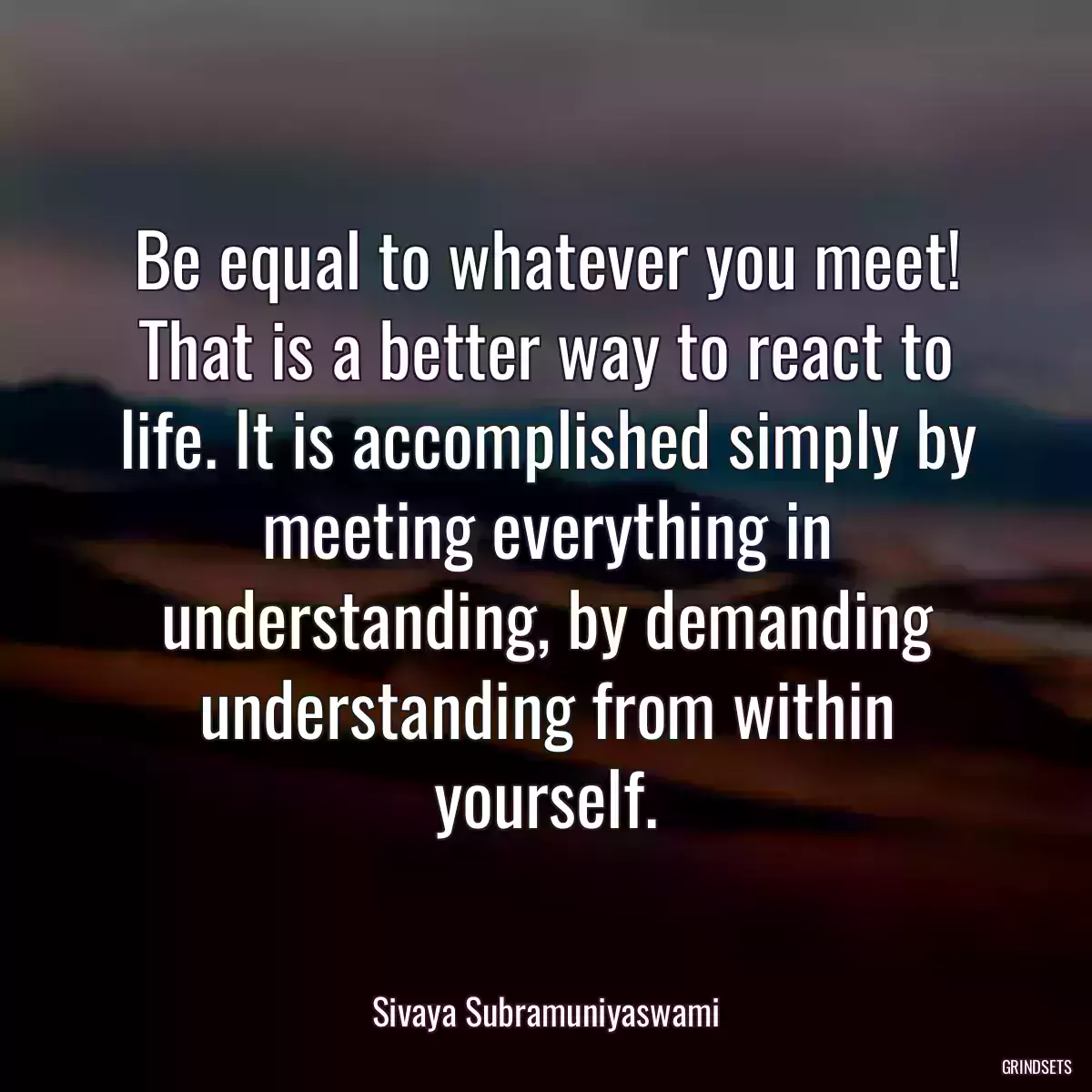 Be equal to whatever you meet! That is a better way to react to life. It is accomplished simply by meeting everything in understanding, by demanding understanding from within yourself.