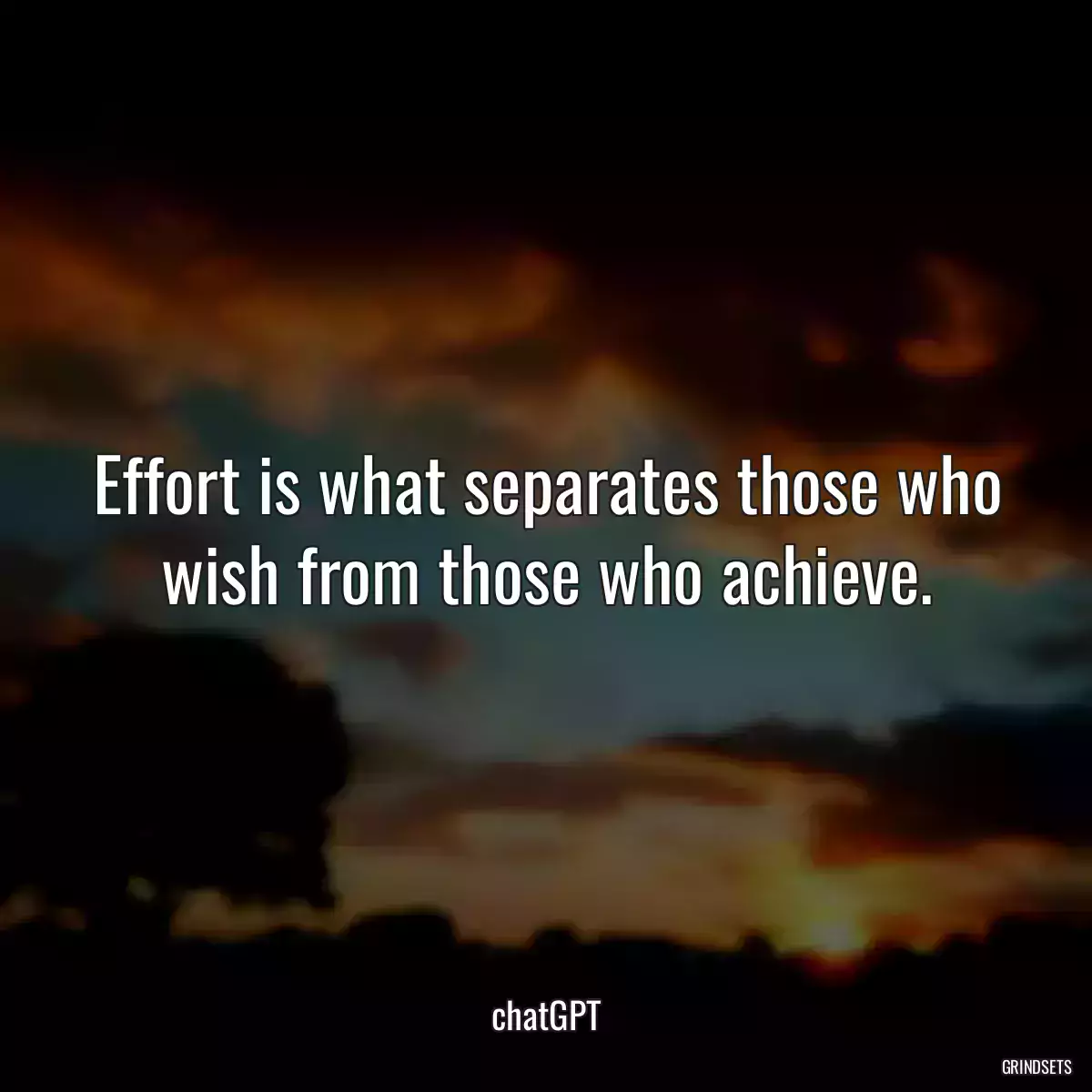 Effort is what separates those who wish from those who achieve.