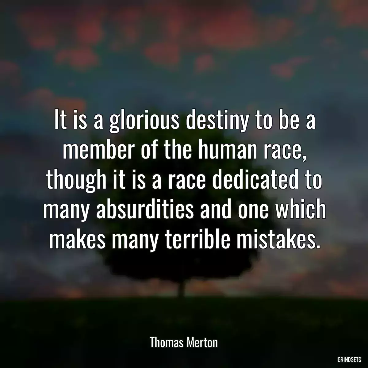 It is a glorious destiny to be a member of the human race, though it is a race dedicated to many absurdities and one which makes many terrible mistakes.