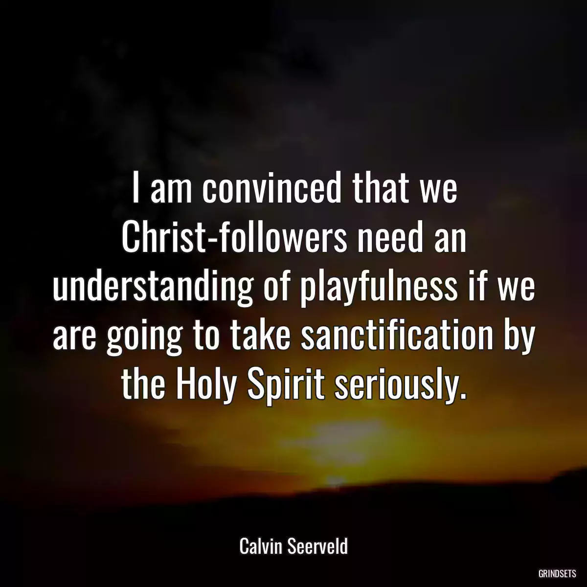 I am convinced that we Christ-followers need an understanding of playfulness if we are going to take sanctification by the Holy Spirit seriously.