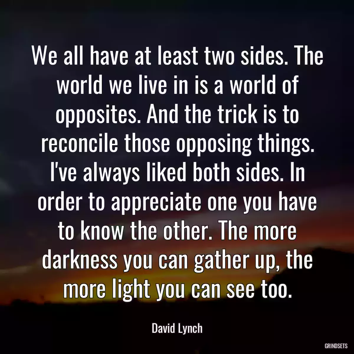 We all have at least two sides. The world we live in is a world of opposites. And the trick is to reconcile those opposing things. I\'ve always liked both sides. In order to appreciate one you have to know the other. The more darkness you can gather up, the more light you can see too.