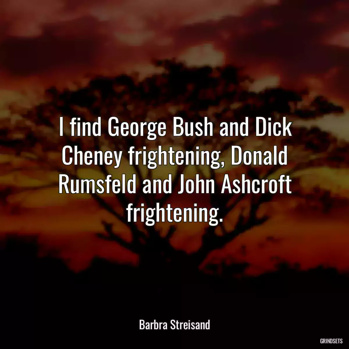 I find George Bush and Dick Cheney frightening, Donald Rumsfeld and John Ashcroft frightening.