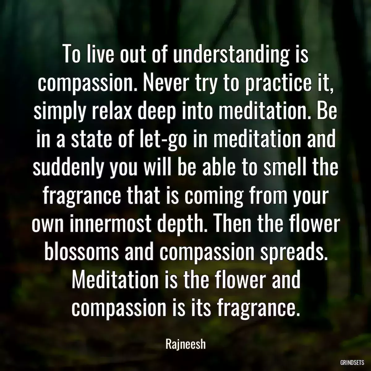 To live out of understanding is compassion. Never try to practice it, simply relax deep into meditation. Be in a state of let-go in meditation and suddenly you will be able to smell the fragrance that is coming from your own innermost depth. Then the flower blossoms and compassion spreads. Meditation is the flower and compassion is its fragrance.