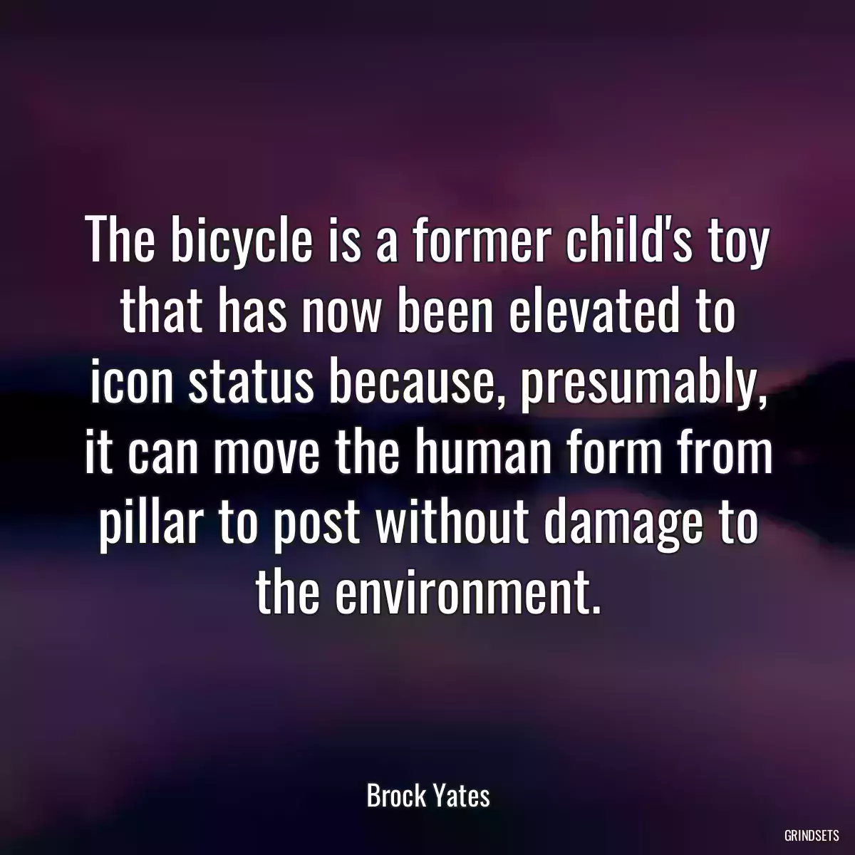 The bicycle is a former child\'s toy that has now been elevated to icon status because, presumably, it can move the human form from pillar to post without damage to the environment.