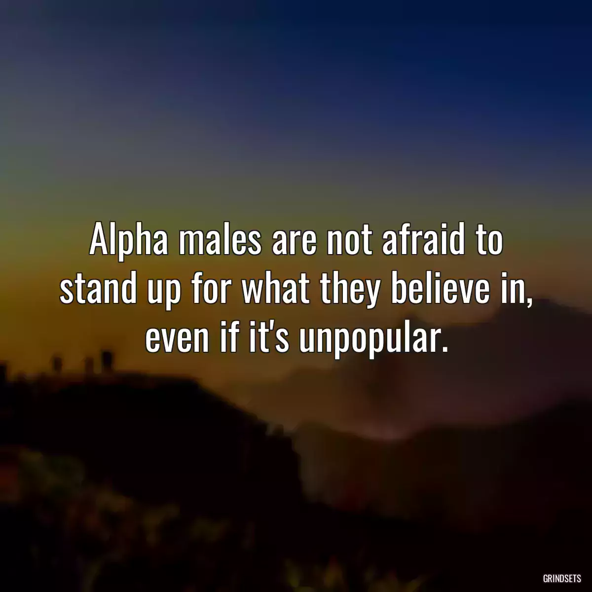 Alpha males are not afraid to stand up for what they believe in, even if it\'s unpopular.