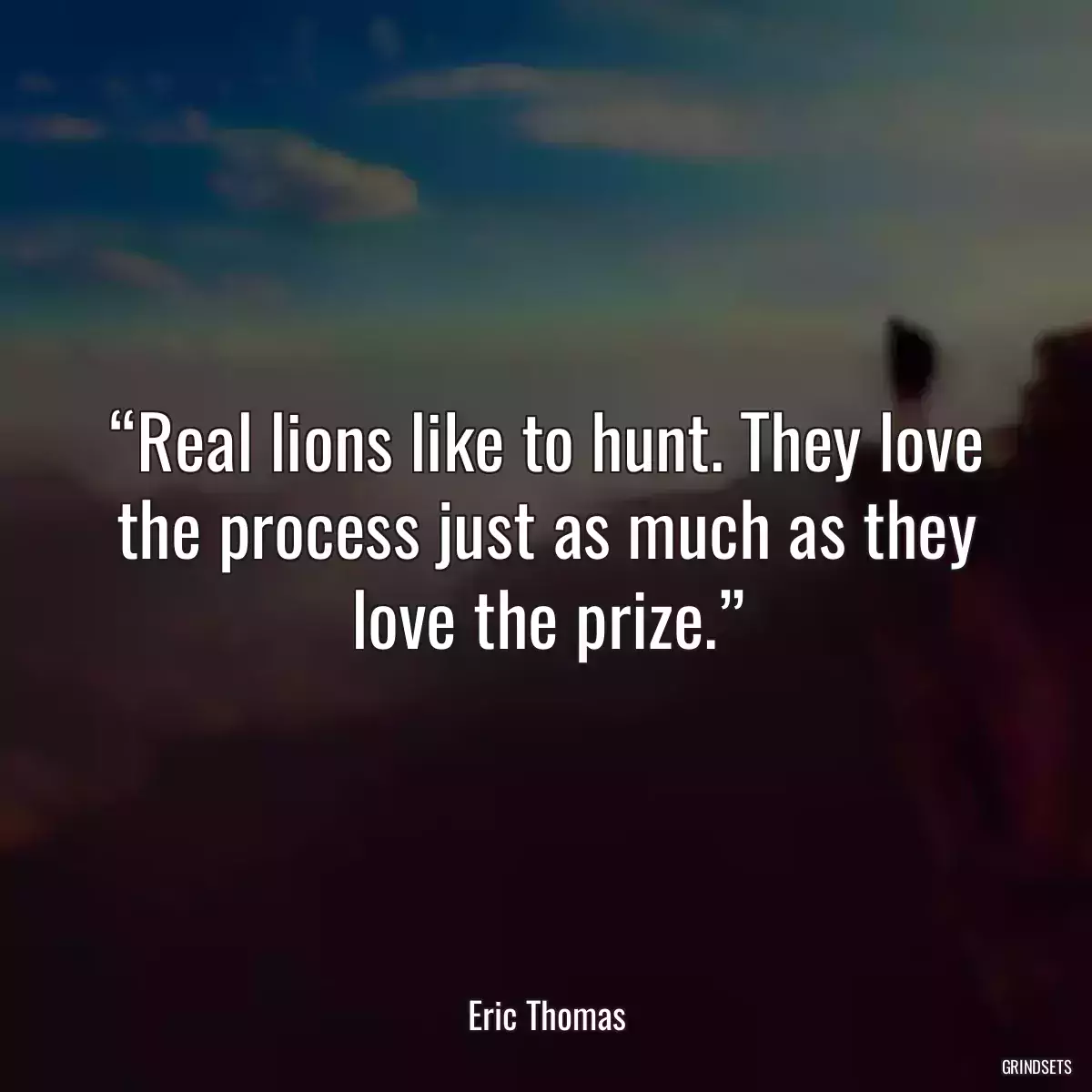 “Real lions like to hunt. They love the process just as much as they love the prize.”