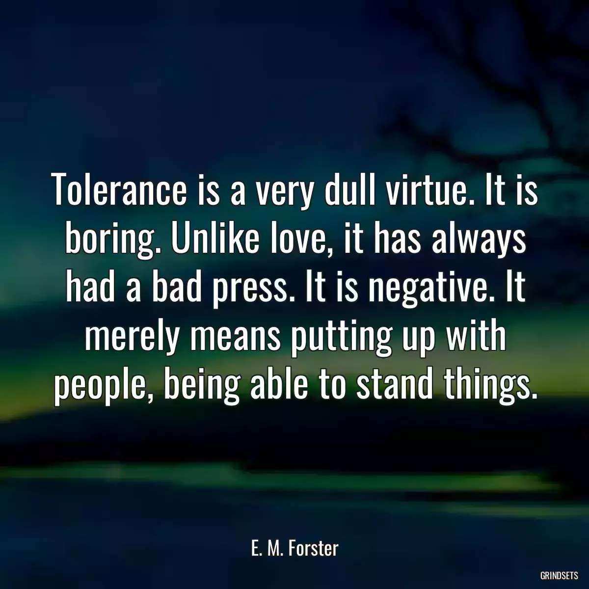 Tolerance is a very dull virtue. It is boring. Unlike love, it has always had a bad press. It is negative. It merely means putting up with people, being able to stand things.