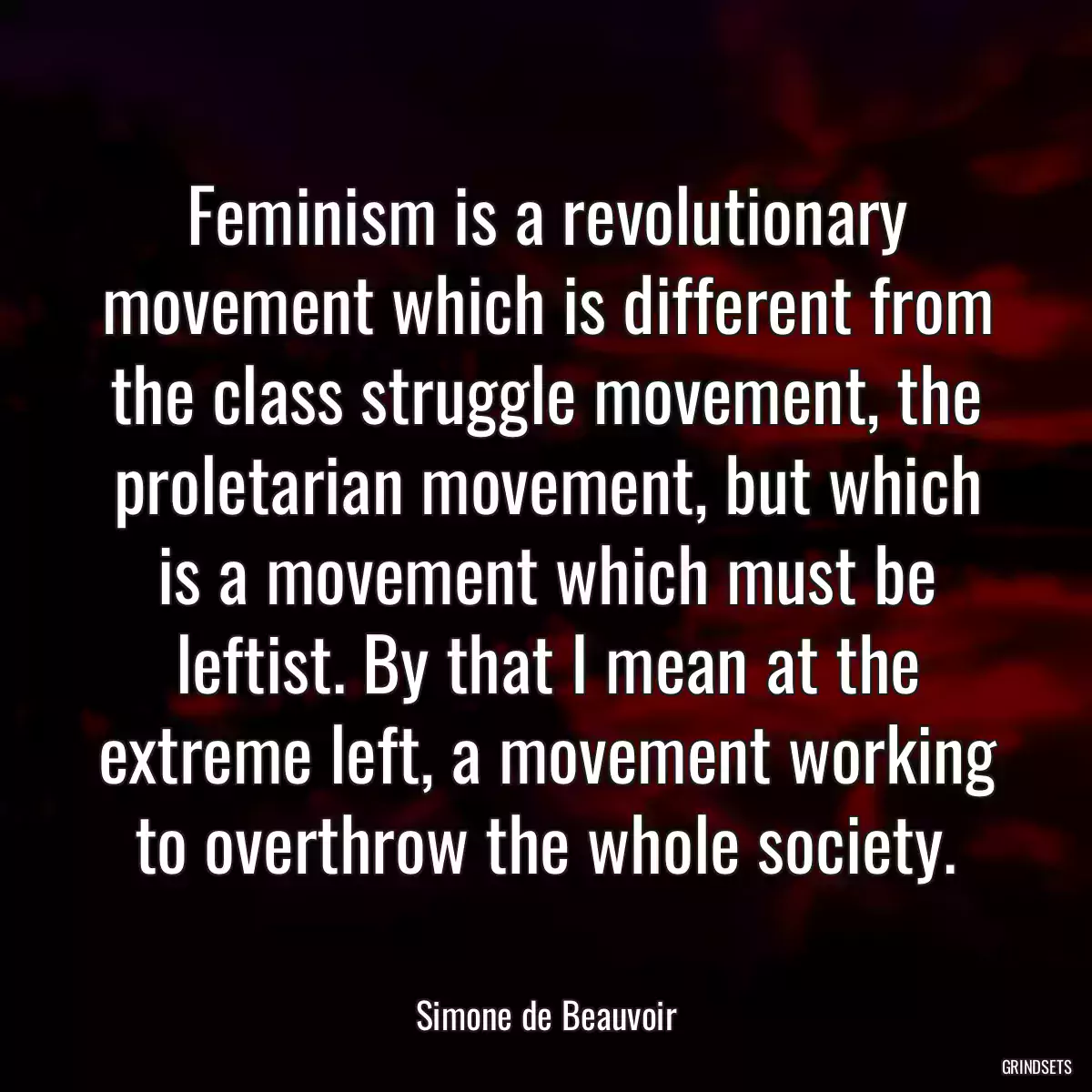 Feminism is a revolutionary movement which is different from the class struggle movement, the proletarian movement, but which is a movement which must be leftist. By that I mean at the extreme left, a movement working to overthrow the whole society.