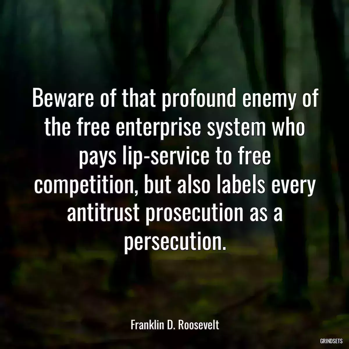 Beware of that profound enemy of the free enterprise system who pays lip-service to free competition, but also labels every antitrust prosecution as a persecution.