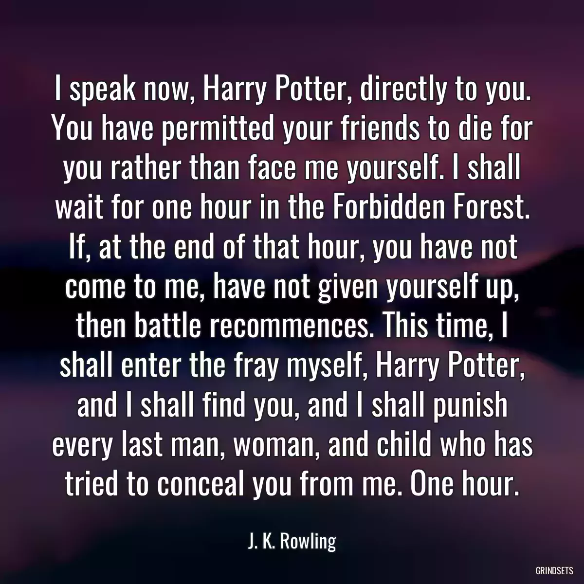 I speak now, Harry Potter, directly to you. You have permitted your friends to die for you rather than face me yourself. I shall wait for one hour in the Forbidden Forest. If, at the end of that hour, you have not come to me, have not given yourself up, then battle recommences. This time, I shall enter the fray myself, Harry Potter, and I shall find you, and I shall punish every last man, woman, and child who has tried to conceal you from me. One hour.