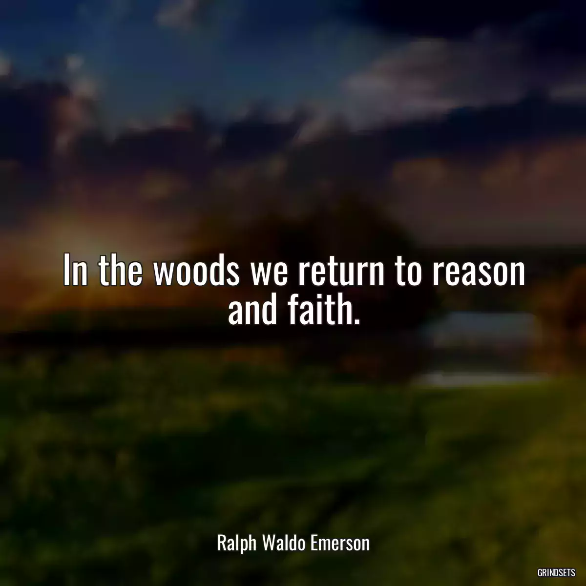 In the woods we return to reason and faith.