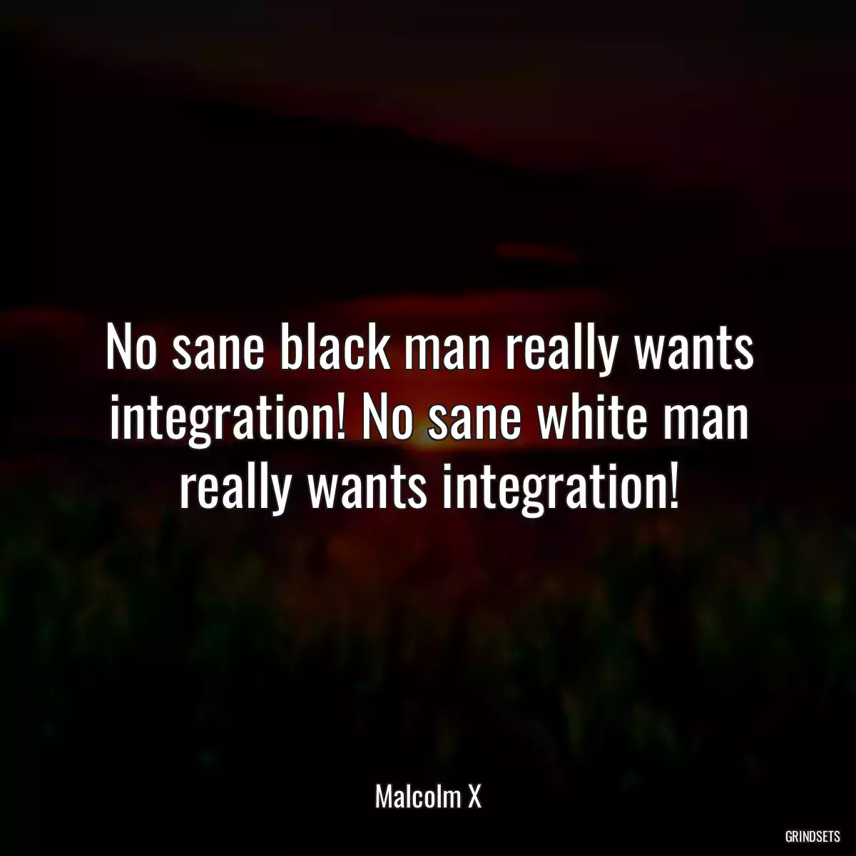 No sane black man really wants integration! No sane white man really wants integration!