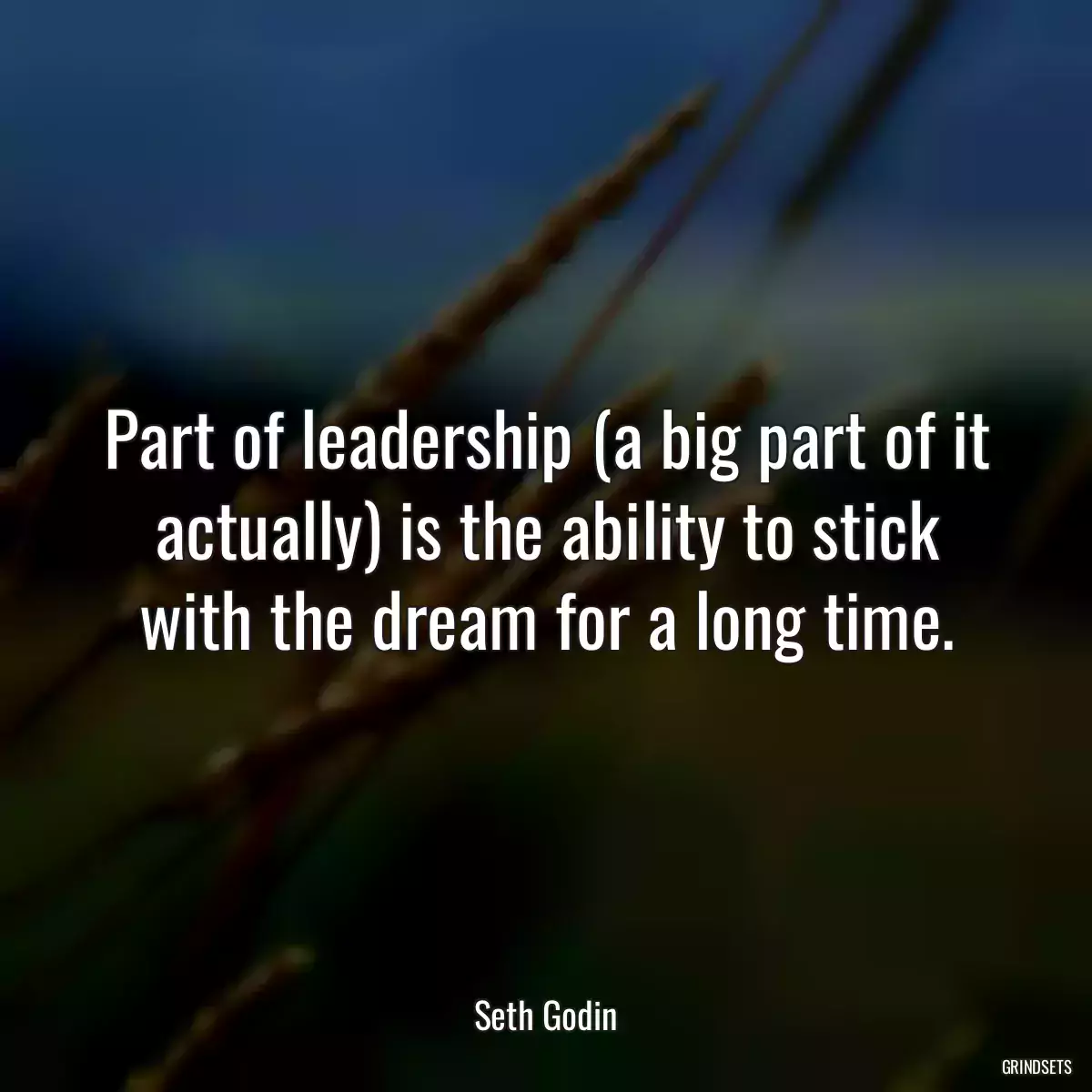 Part of leadership (a big part of it actually) is the ability to stick with the dream for a long time.