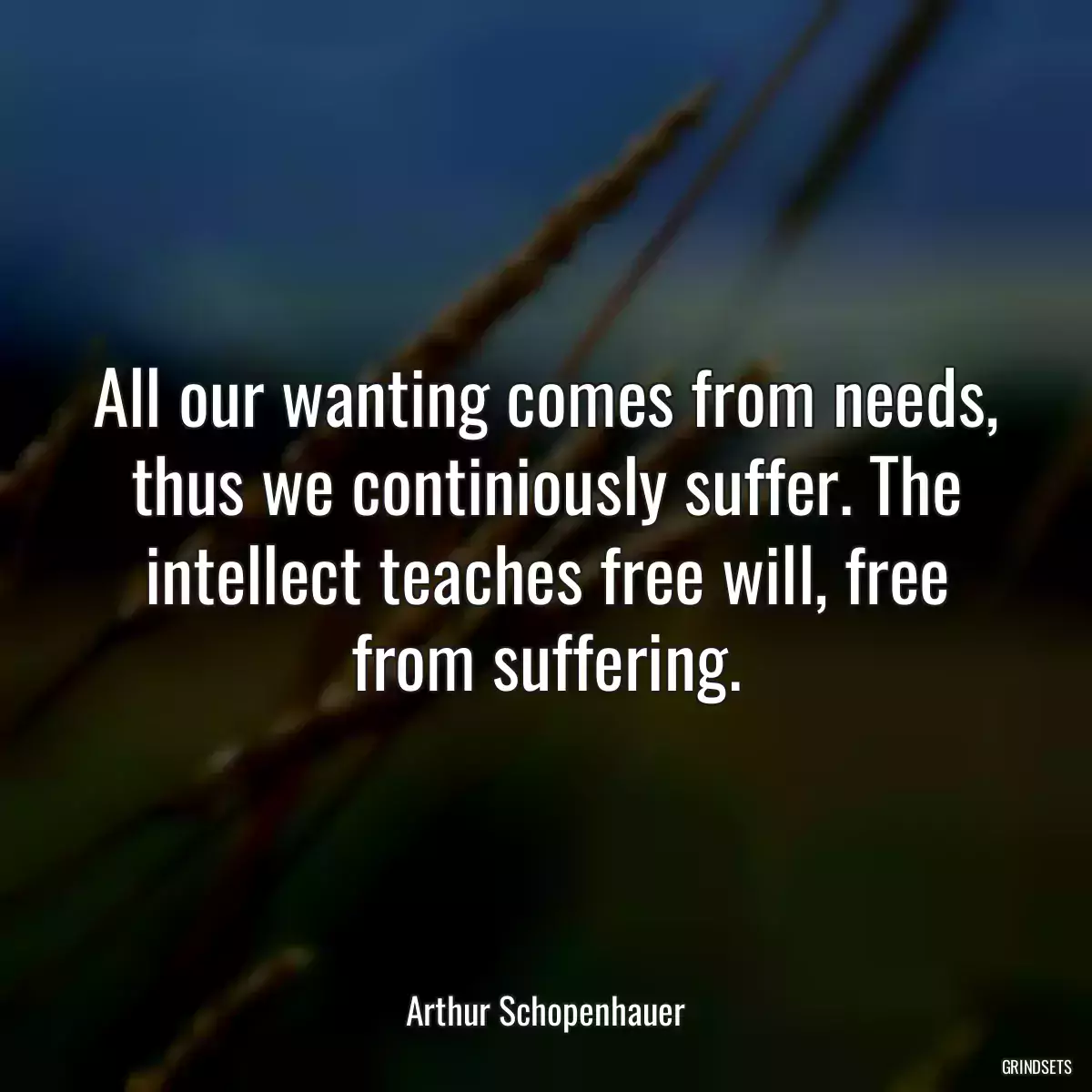 All our wanting comes from needs, thus we continiously suffer. The intellect teaches free will, free from suffering.