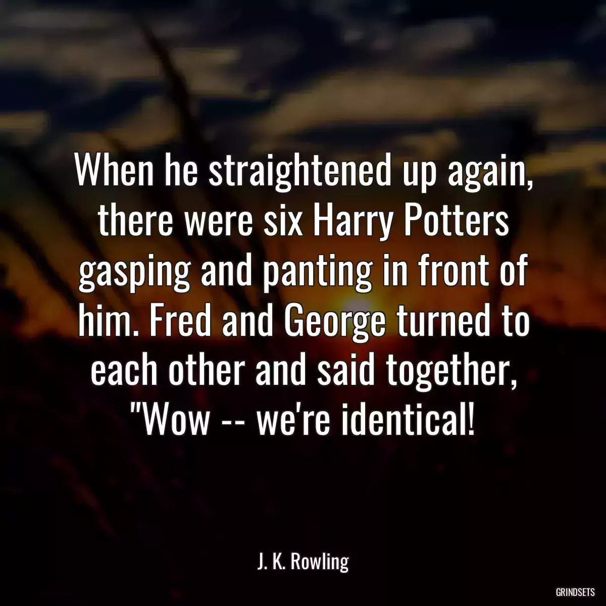 When he straightened up again, there were six Harry Potters gasping and panting in front of him. Fred and George turned to each other and said together, \