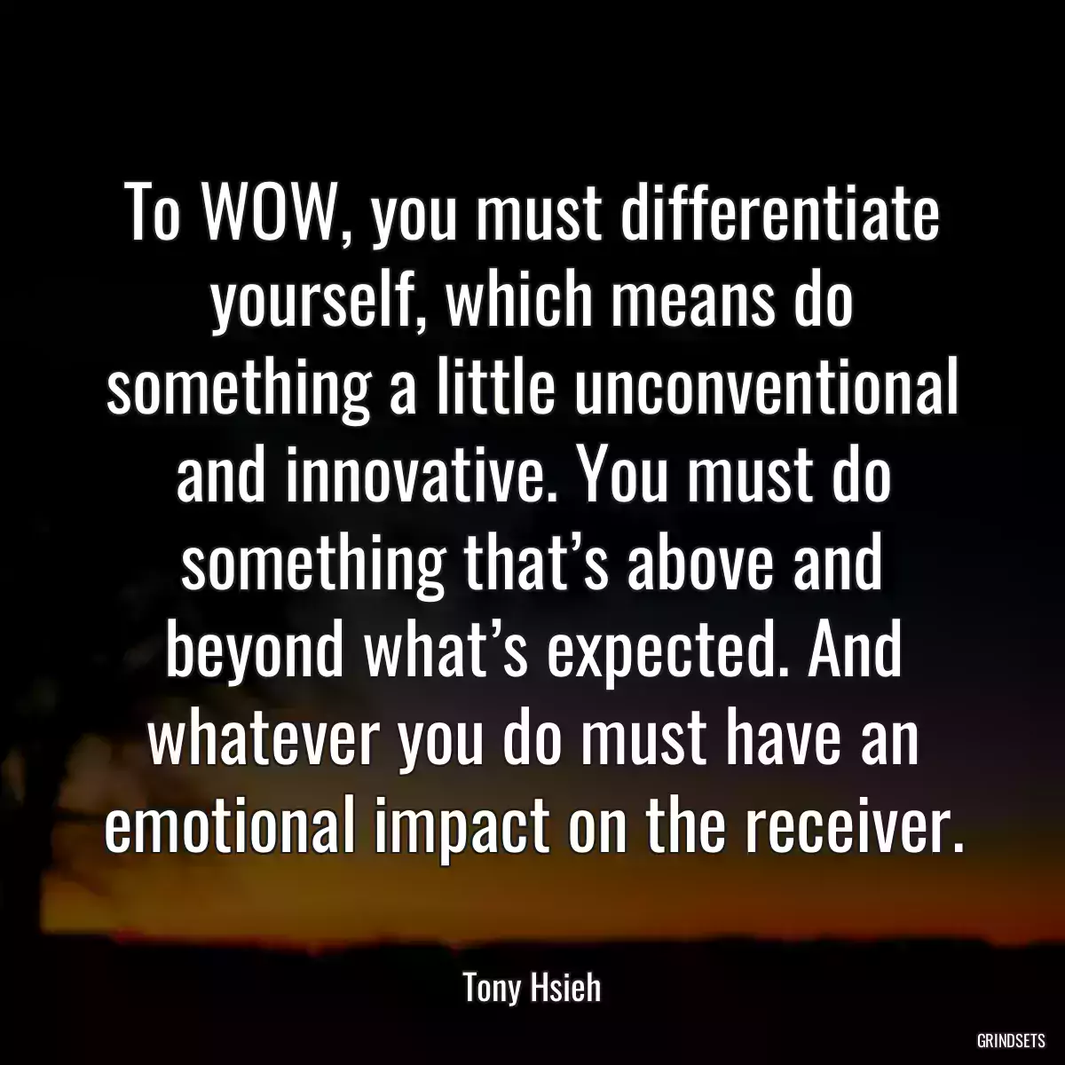 To WOW, you must differentiate yourself, which means do something a little unconventional and innovative. You must do something that’s above and beyond what’s expected. And whatever you do must have an emotional impact on the receiver.