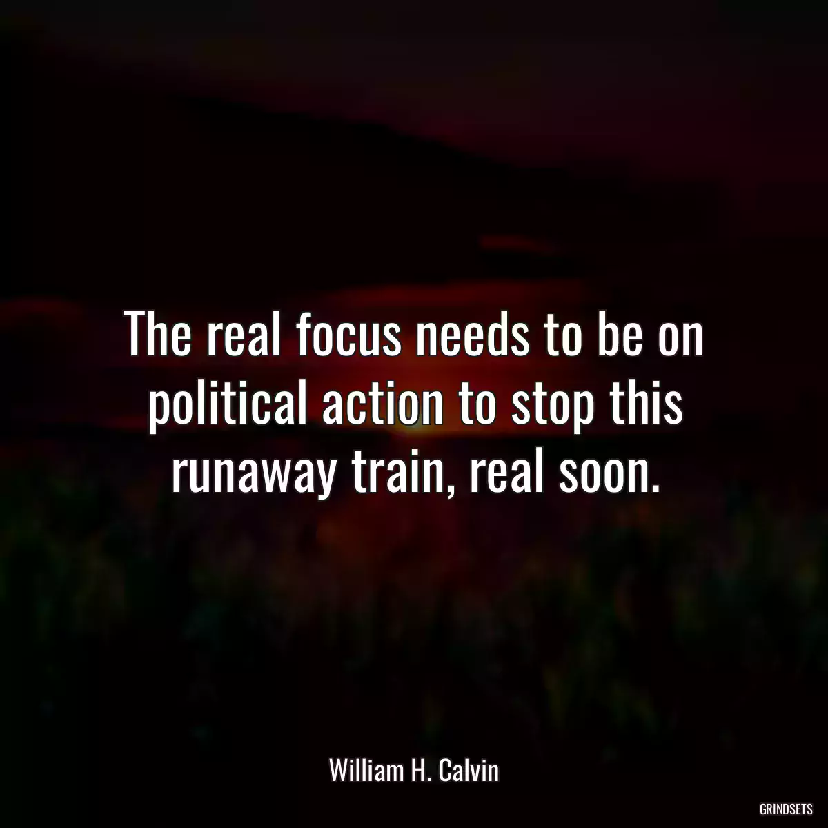 The real focus needs to be on political action to stop this runaway train, real soon.