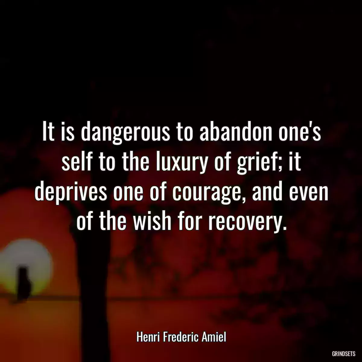 It is dangerous to abandon one\'s self to the luxury of grief; it deprives one of courage, and even of the wish for recovery.