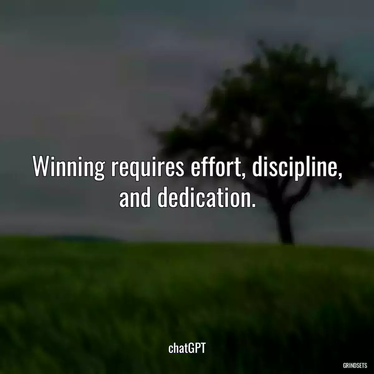 Winning requires effort, discipline, and dedication.