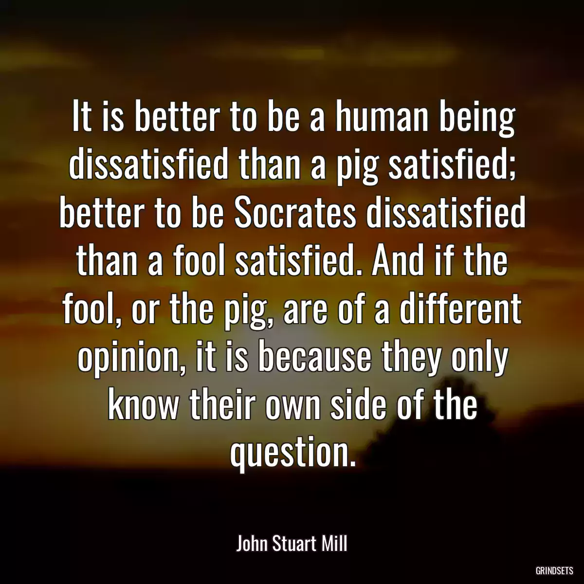 It is better to be a human being dissatisfied than a pig satisfied; better to be Socrates dissatisfied than a fool satisfied. And if the fool, or the pig, are of a different opinion, it is because they only know their own side of the question.