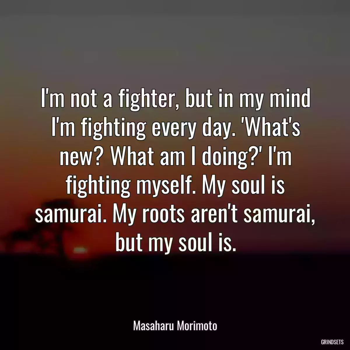 I\'m not a fighter, but in my mind I\'m fighting every day. \'What\'s new? What am I doing?\' I\'m fighting myself. My soul is samurai. My roots aren\'t samurai, but my soul is.