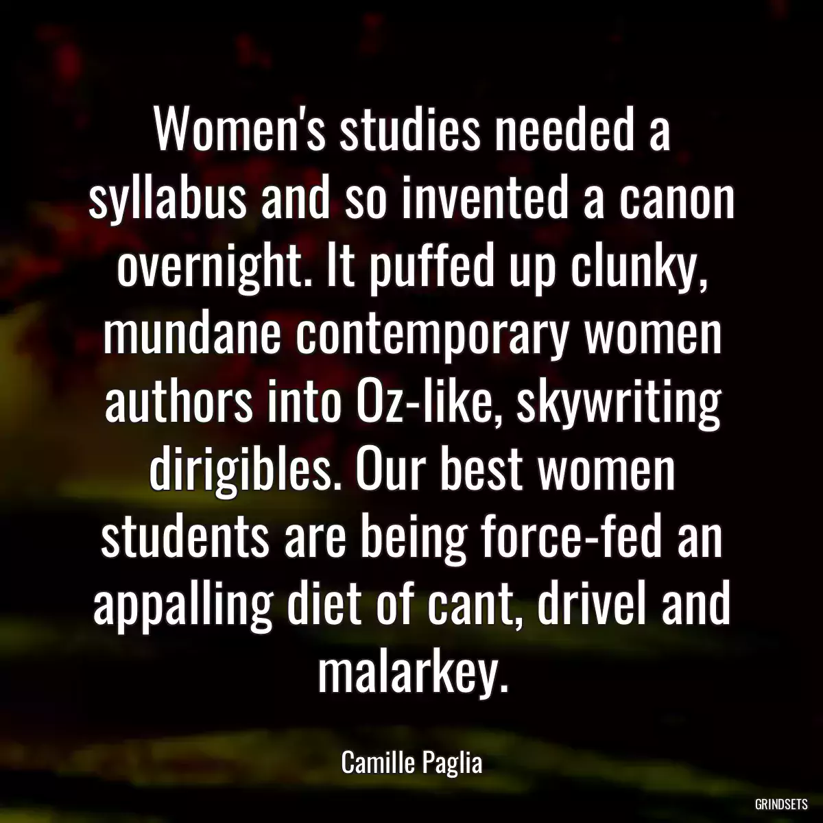 Women\'s studies needed a syllabus and so invented a canon overnight. It puffed up clunky, mundane contemporary women authors into Oz-like, skywriting dirigibles. Our best women students are being force-fed an appalling diet of cant, drivel and malarkey.