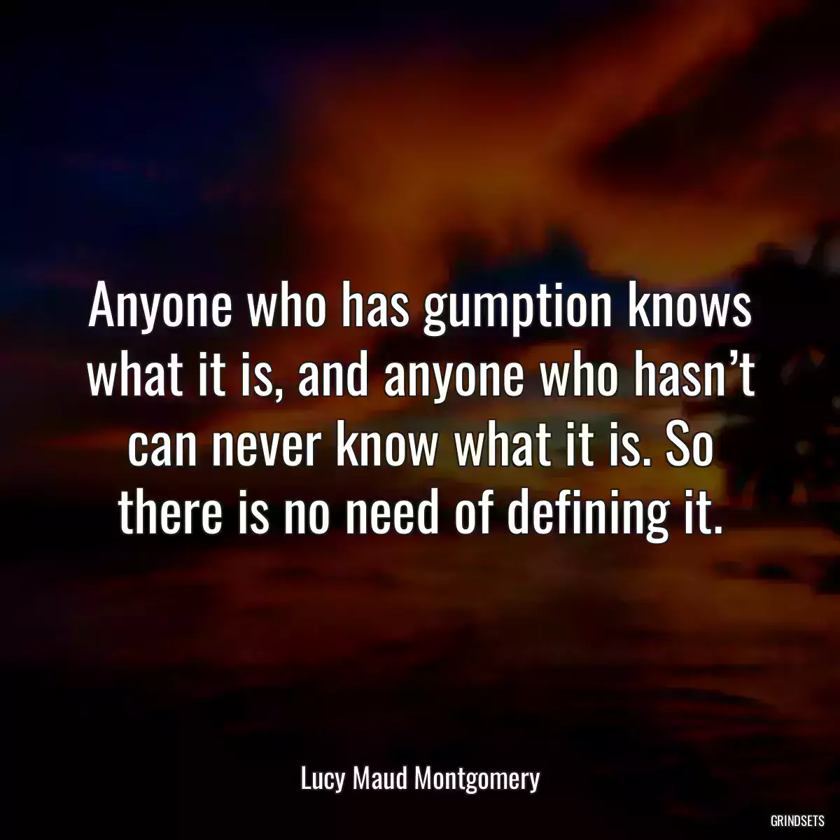 Anyone who has gumption knows what it is, and anyone who hasn’t can never know what it is. So there is no need of defining it.