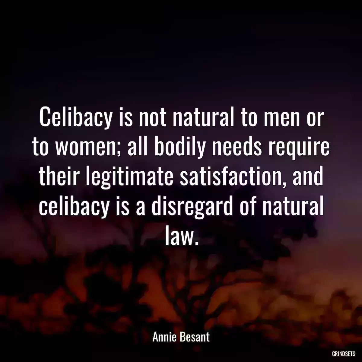 Celibacy is not natural to men or to women; all bodily needs require their legitimate satisfaction, and celibacy is a disregard of natural law.