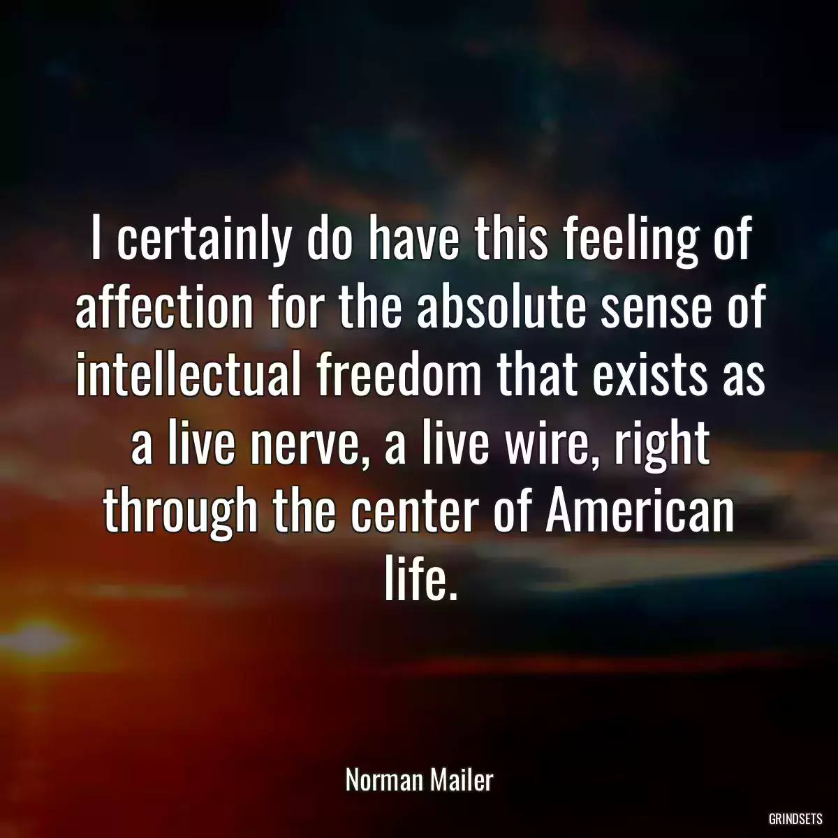 I certainly do have this feeling of affection for the absolute sense of intellectual freedom that exists as a live nerve, a live wire, right through the center of American life.