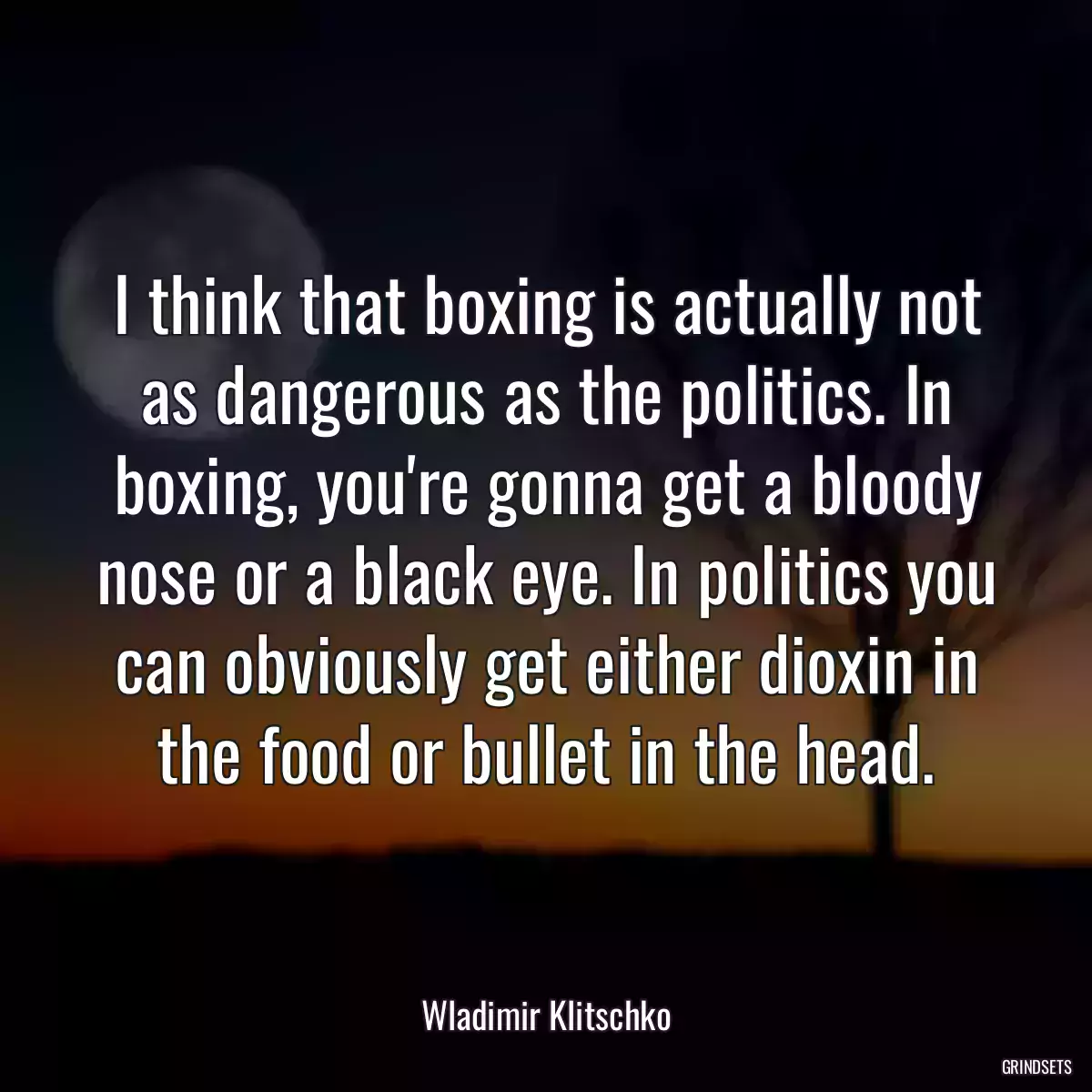 I think that boxing is actually not as dangerous as the politics. In boxing, you\'re gonna get a bloody nose or a black eye. In politics you can obviously get either dioxin in the food or bullet in the head.