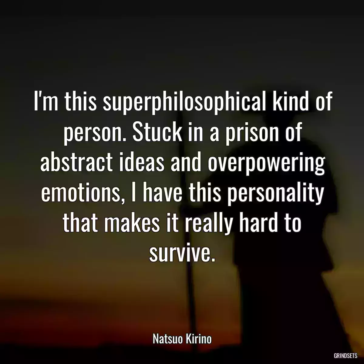 I\'m this superphilosophical kind of person. Stuck in a prison of abstract ideas and overpowering emotions, I have this personality that makes it really hard to survive.