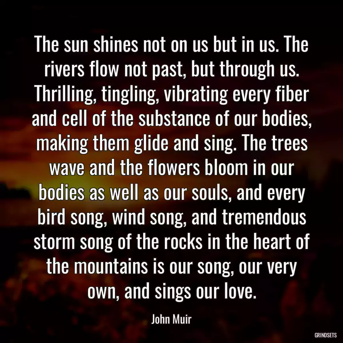 The sun shines not on us but in us. The rivers flow not past, but through us. Thrilling, tingling, vibrating every fiber and cell of the substance of our bodies, making them glide and sing. The trees wave and the flowers bloom in our bodies as well as our souls, and every bird song, wind song, and tremendous storm song of the rocks in the heart of the mountains is our song, our very own, and sings our love.