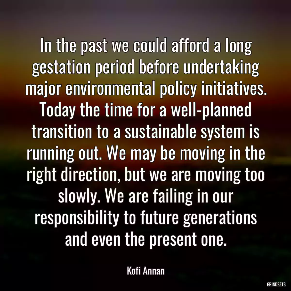 In the past we could afford a long gestation period before undertaking major environmental policy initiatives. Today the time for a well-planned transition to a sustainable system is running out. We may be moving in the right direction, but we are moving too slowly. We are failing in our responsibility to future generations and even the present one.