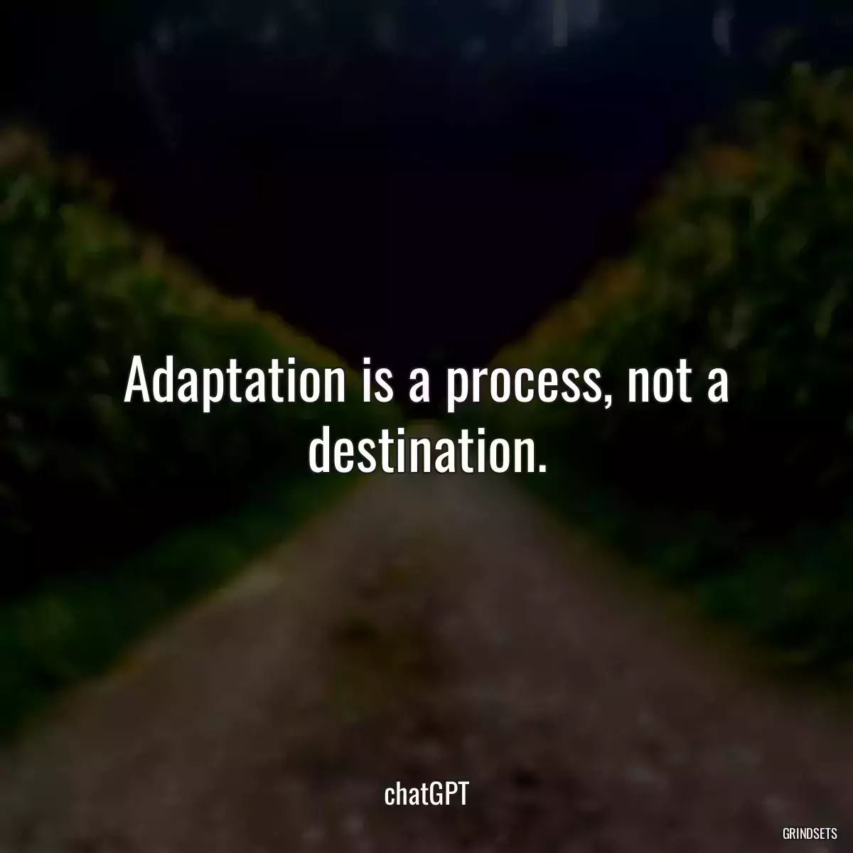 Adaptation is a process, not a destination.