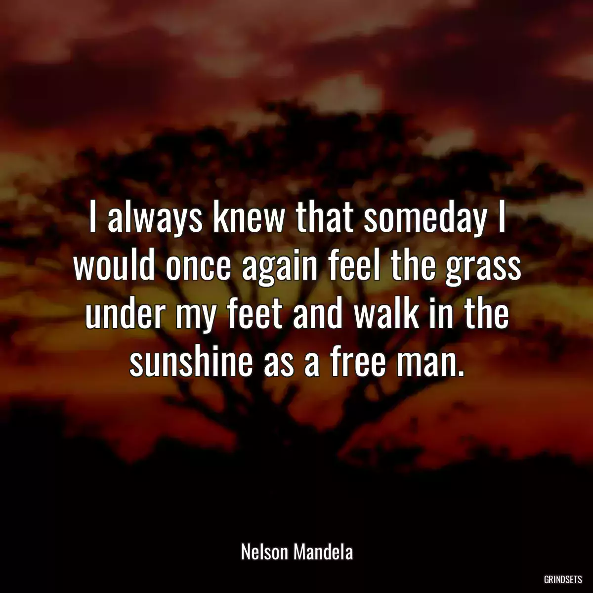 I always knew that someday I would once again feel the grass under my feet and walk in the sunshine as a free man.