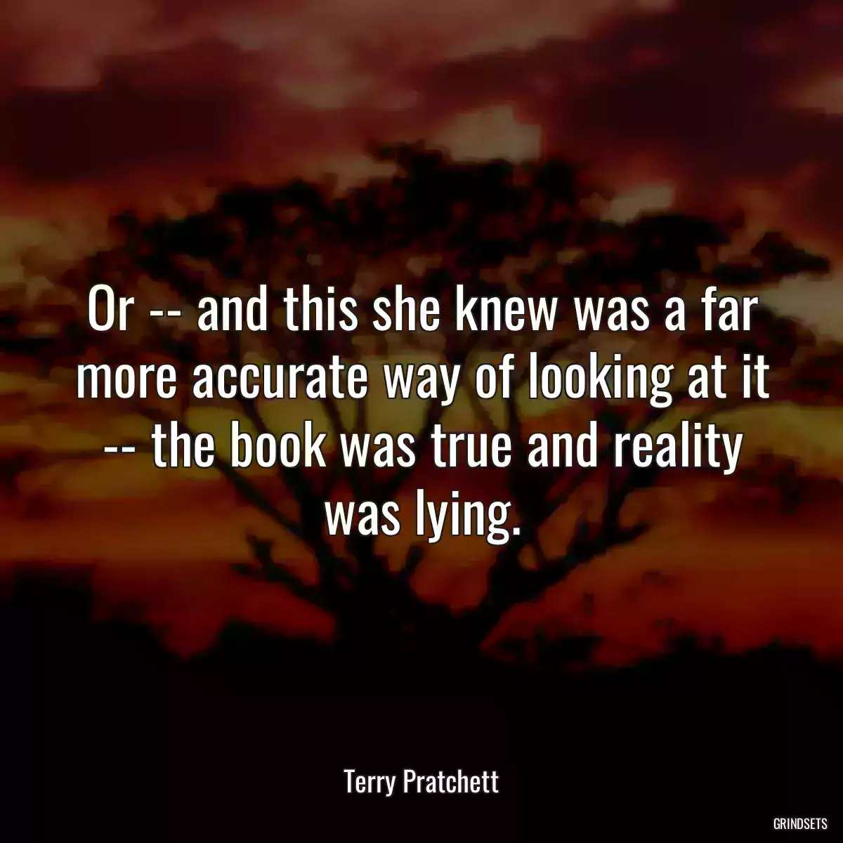 Or -- and this she knew was a far more accurate way of looking at it -- the book was true and reality was lying.