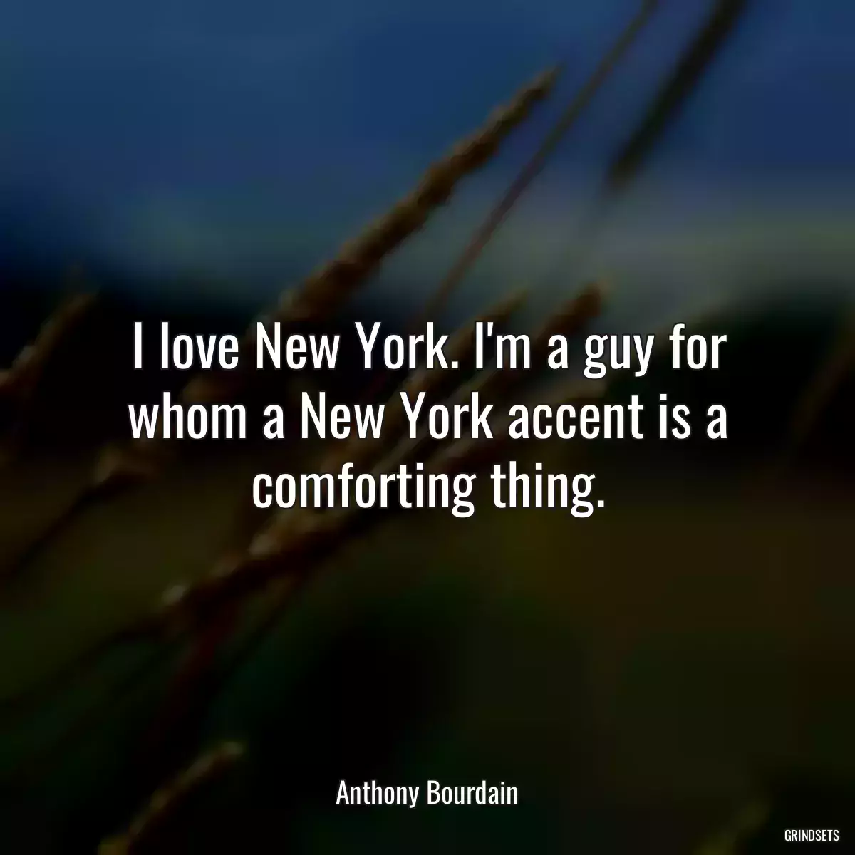 I love New York. I\'m a guy for whom a New York accent is a comforting thing.