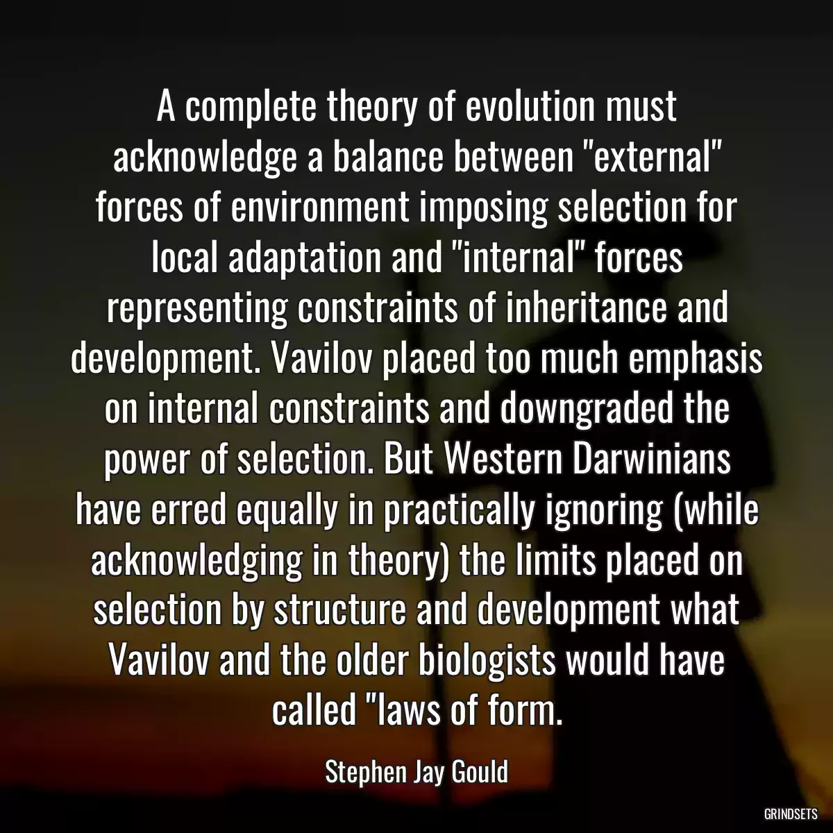 A complete theory of evolution must acknowledge a balance between \