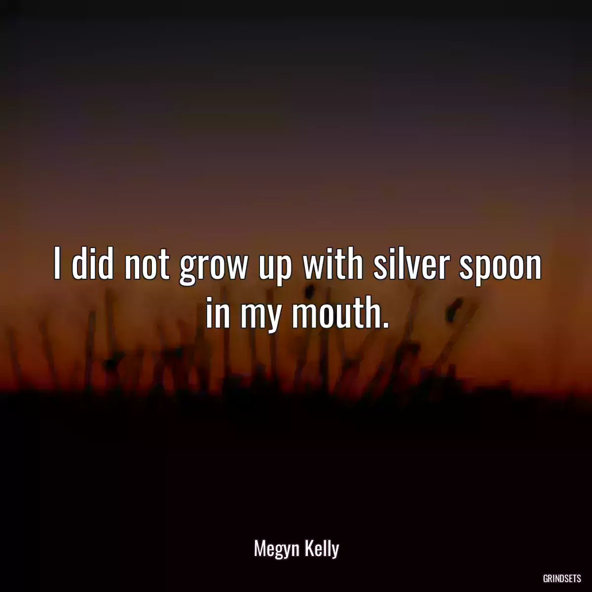 I did not grow up with silver spoon in my mouth.